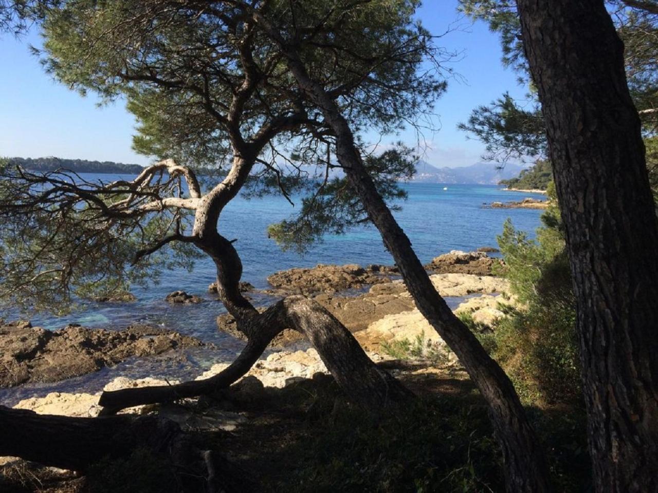 Cannes Design Vue Mer Exterior photo